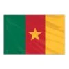 Cameroon Indoor Nylon Flag 3'x5' -3M Shop Global20Flags20Unlimited20LLC 201416