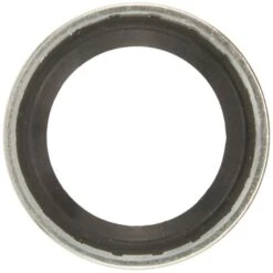 Sealing Washer, 24404