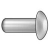 Semi-Tubular Rivet, Oval Head, 1/8 In Dia., 1/4 In L, Steel Body, 100 PK -3M Shop Z 307yfo5oy 2